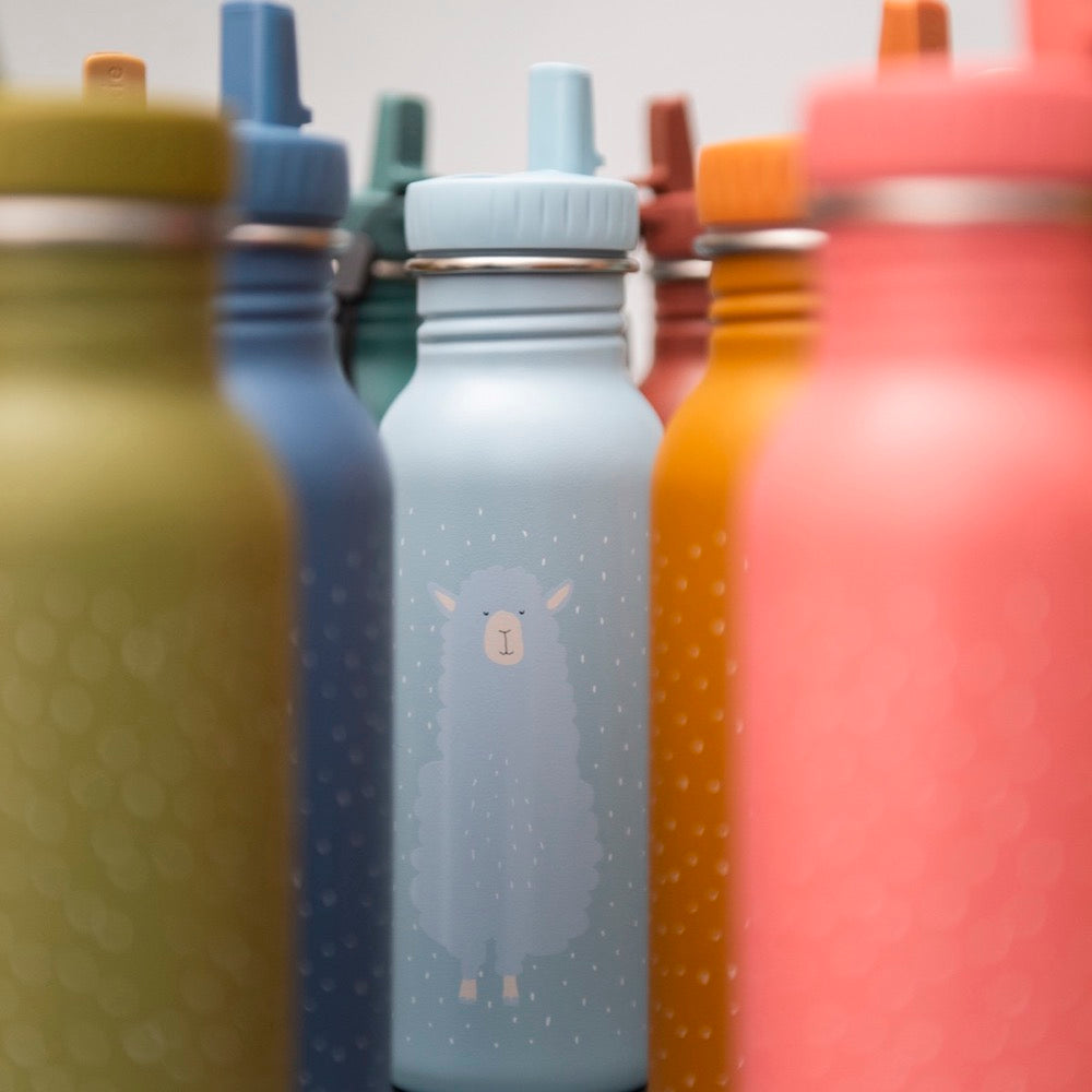 Stainless Steel Bottle 500 ml - Mr Alpaca, a sleek, durable water bottle with a kid-friendly cap. Made of stainless steel, leak-proof, and easy to clean. Dimensions: 20 cm x 6.5 cm.