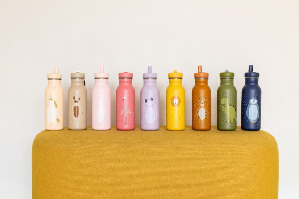 Stainless Steel Bottle 500 ml - Mr Dog: Durable stainless steel water bottle with fun animal design, leak-proof cap, and kid-friendly handle. Perfect for on-the-go hydration.