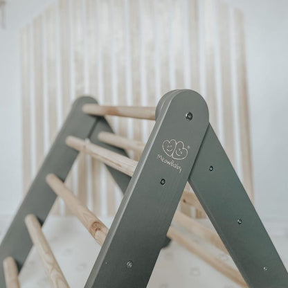 Ladder with a Slide-Climbing Wall - Grey